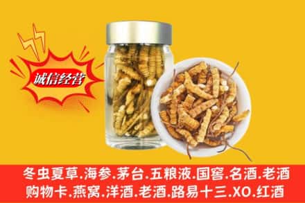 阿克苏地区沙雅县回收散虫草
