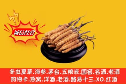 阿克苏地区沙雅县求购回收虫草多少钱每克